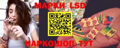 стафф Кудрово