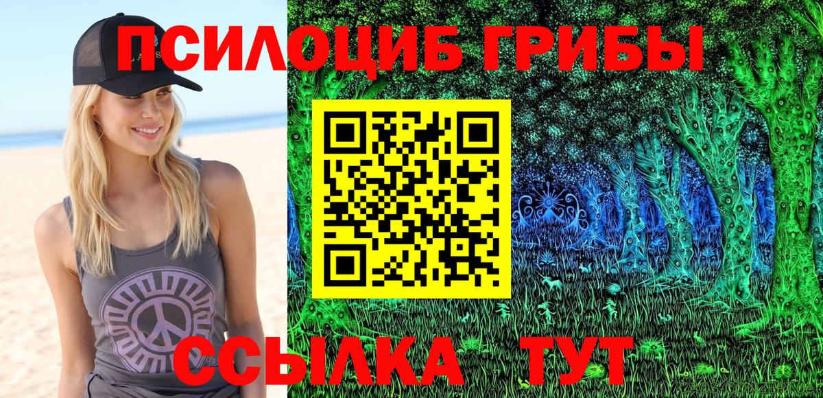 Галлюциногенные грибы ЛСД Северобайкальск